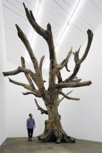Ai Weiwei - Tree © NOSHE