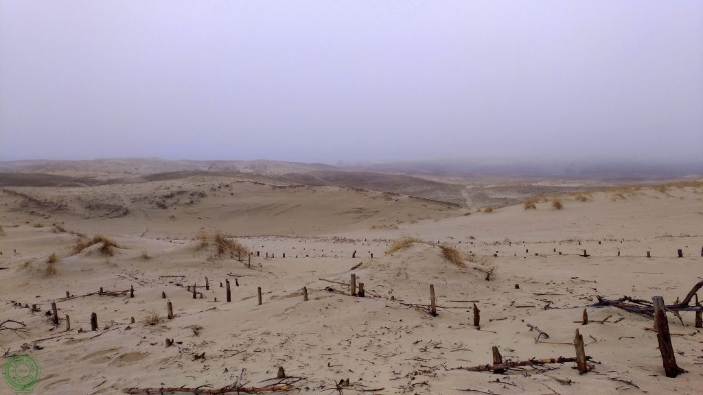 La penisola curlandese - Duna di Parnadis