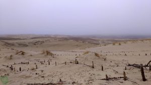Duna di Parnadis