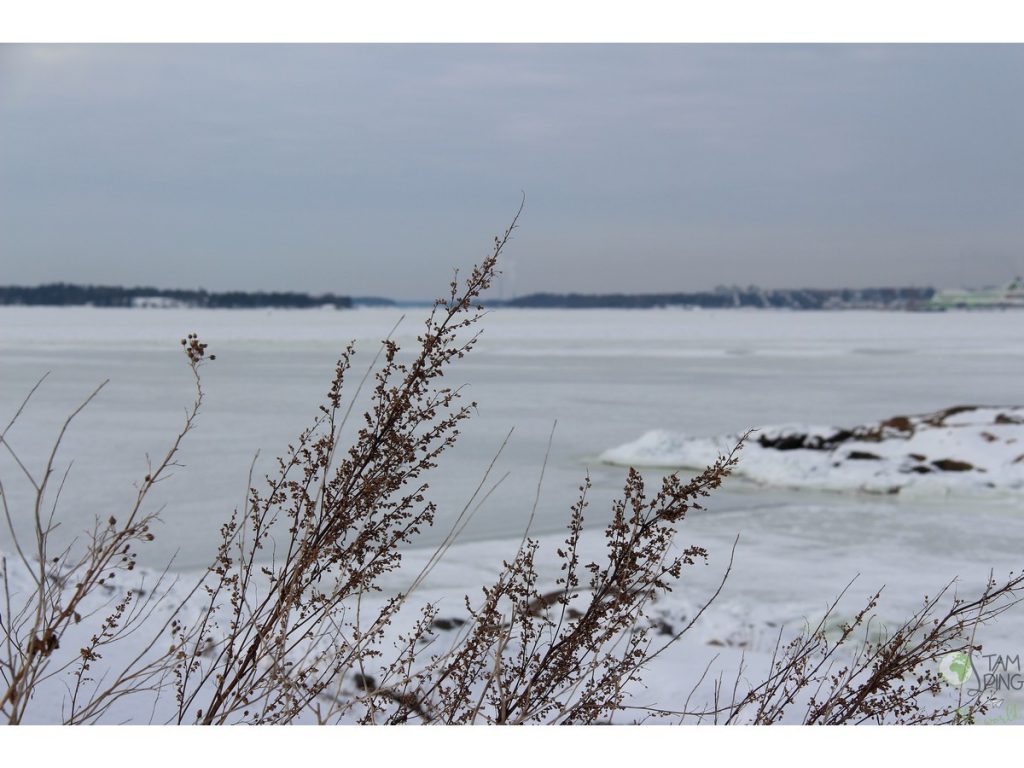 Suomenlinna