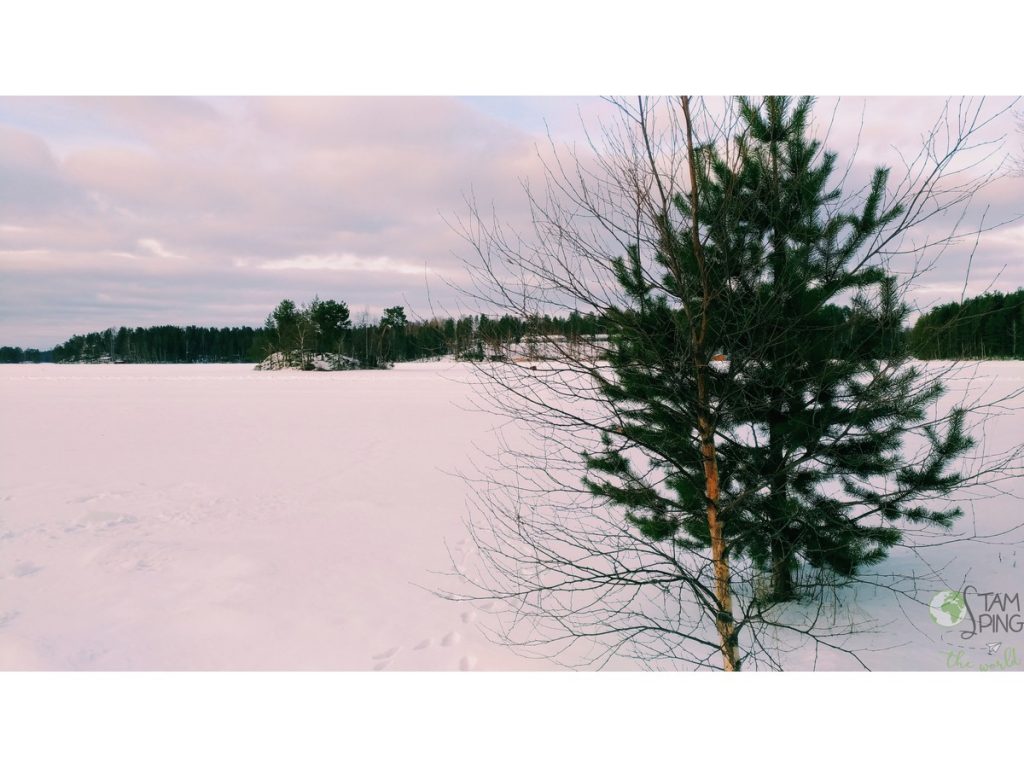 Sauna Finlandese - Lago ghiacciato a Savitaipale