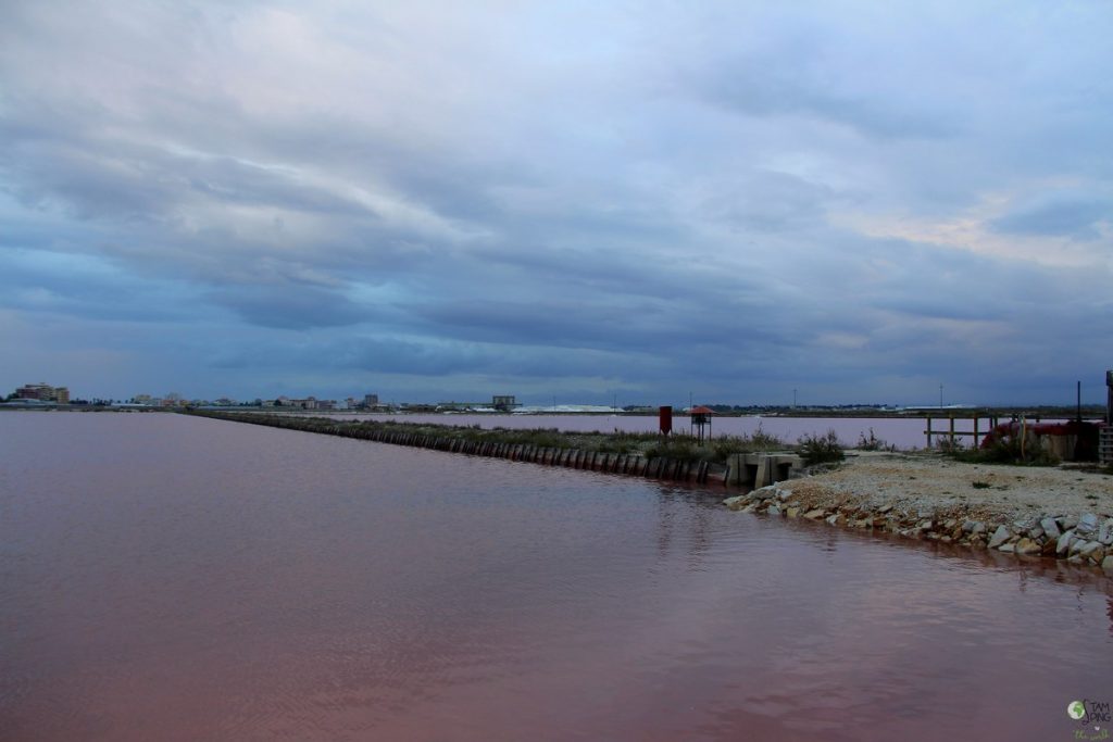 saline di margherita di savoia