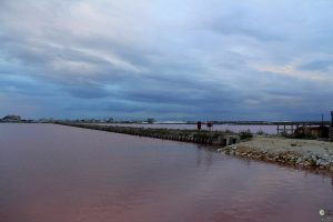 saline di margherita di savoia